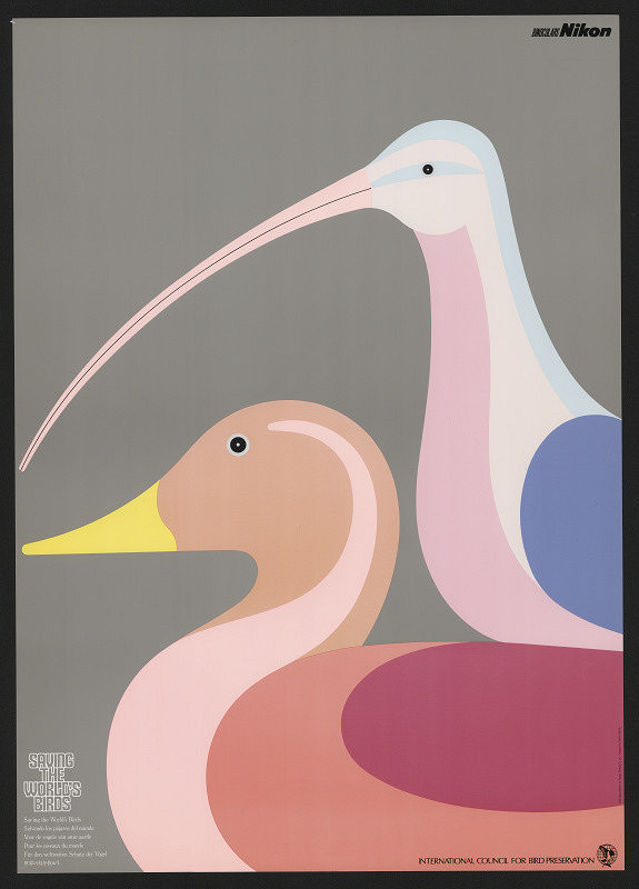 Ryohei Kojima – Saving the World´s Birds 