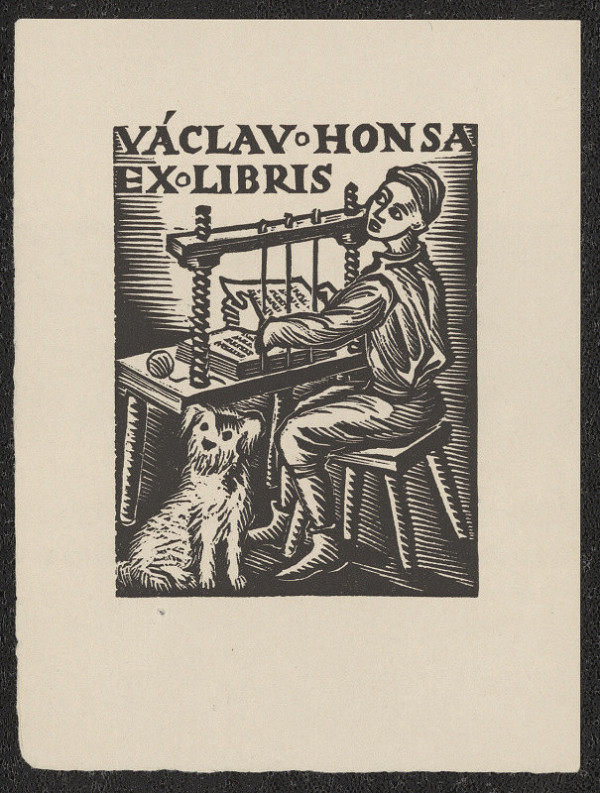 neznámý – Legenda rostlin a ptáků 