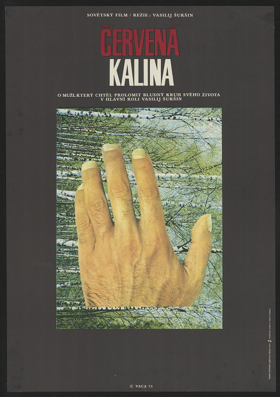 Karel Vaca – Červená kalina 