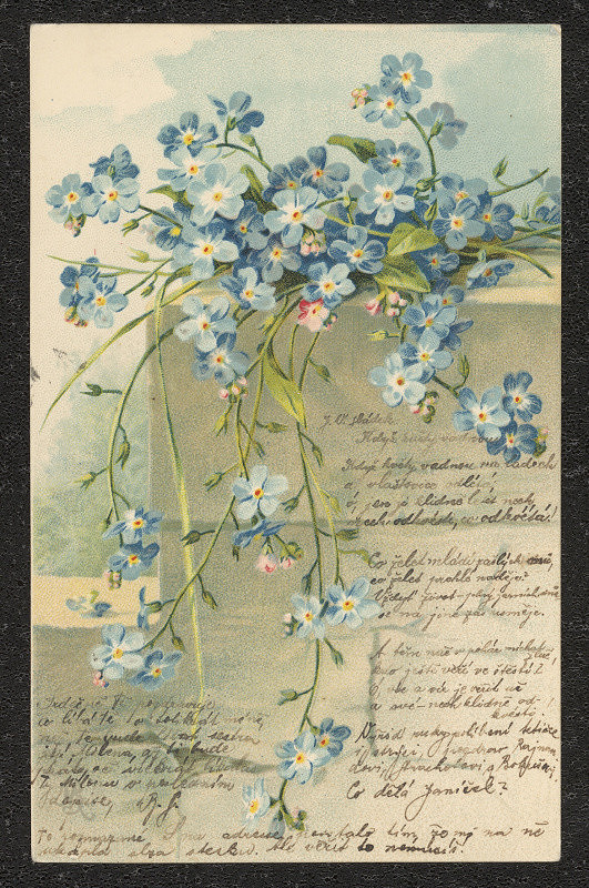 neznámý – Přání 