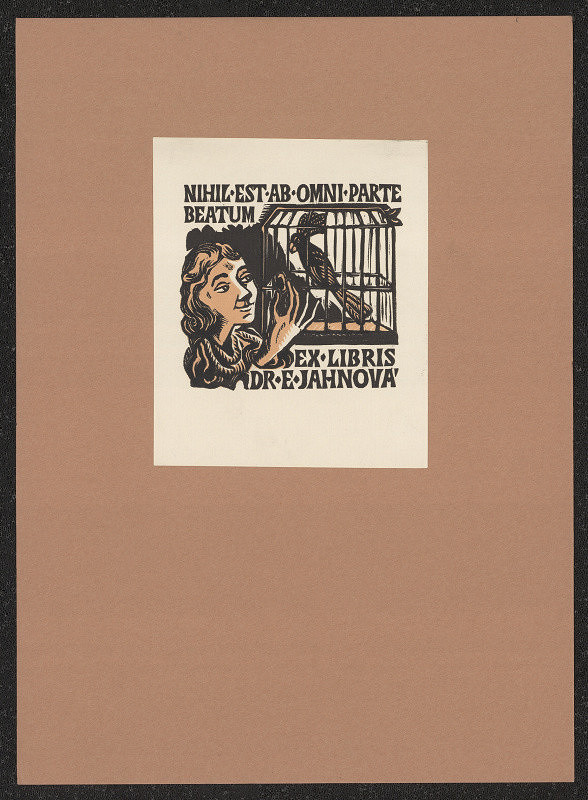 neznámý – Rakouský kyrysník (dragoun) z r. 1860 