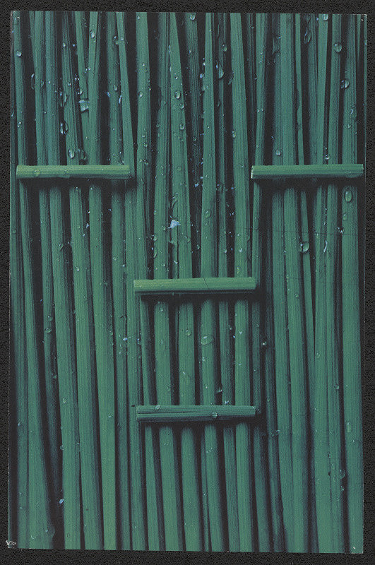 Vladimír Čajka (Voloďa Chaika) – Greatis 2/92, 1,2/94 