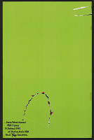 Petr Babák – Karnevalová Slavnost VŠUP 