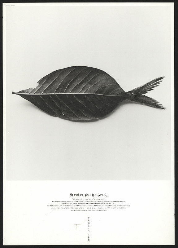 Norito Shinmura – [Fishes in the sea are nurtured by the forest] 