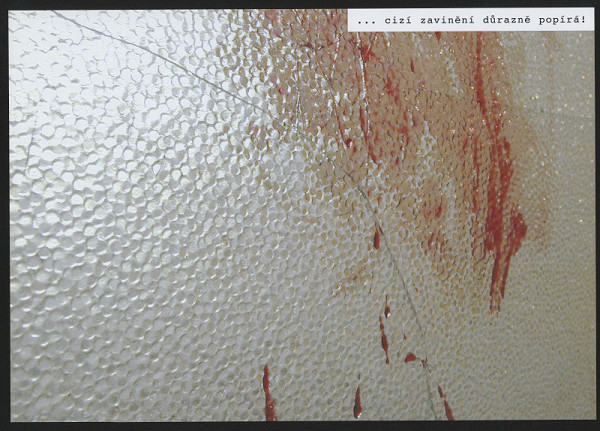 Ivan Šikýr – Cizí zavinění důrazně popírá 