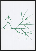 Kari Piippo – Graphic message for ecology 