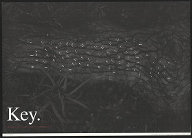 Hisato Harutaka – Key 