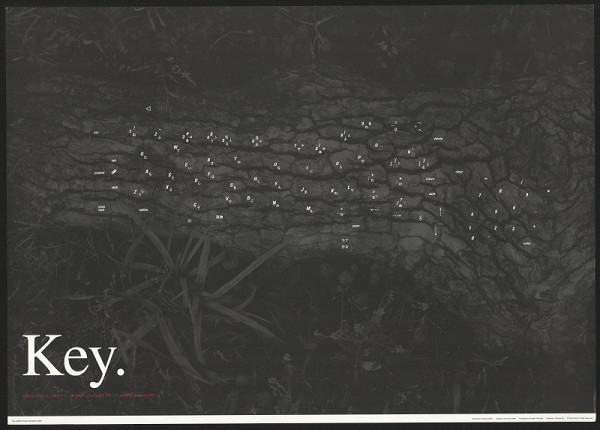 Hisato Harutaka – Key 