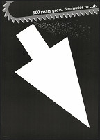 Keizo Matsui – 500 Years Grow, 5 Minutes To Cut 