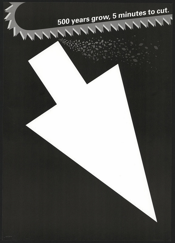 Keizo Matsui – 500 Years Grow, 5 Minutes To Cut