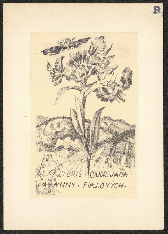 Dobroslava Bilovská – Ex libris MUDr. Jana a Anny Fialových 