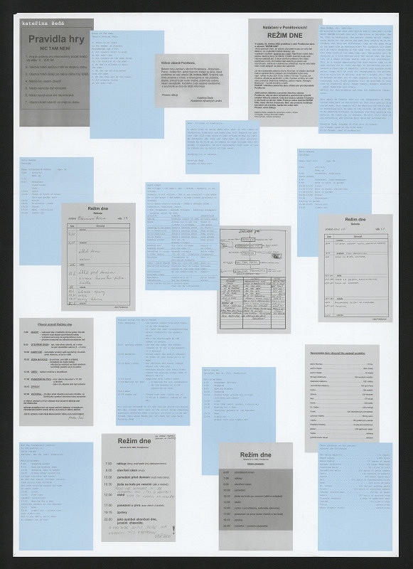 Petr Babák – Kateřina Šedá 