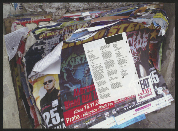 Tereza Janečková – Účast podmínek 