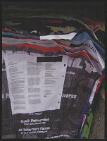 Tereza Janečková – Účast podmínek 