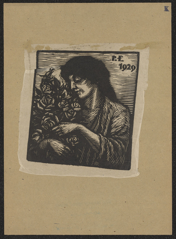 Antonín Kameník – PF 1929 