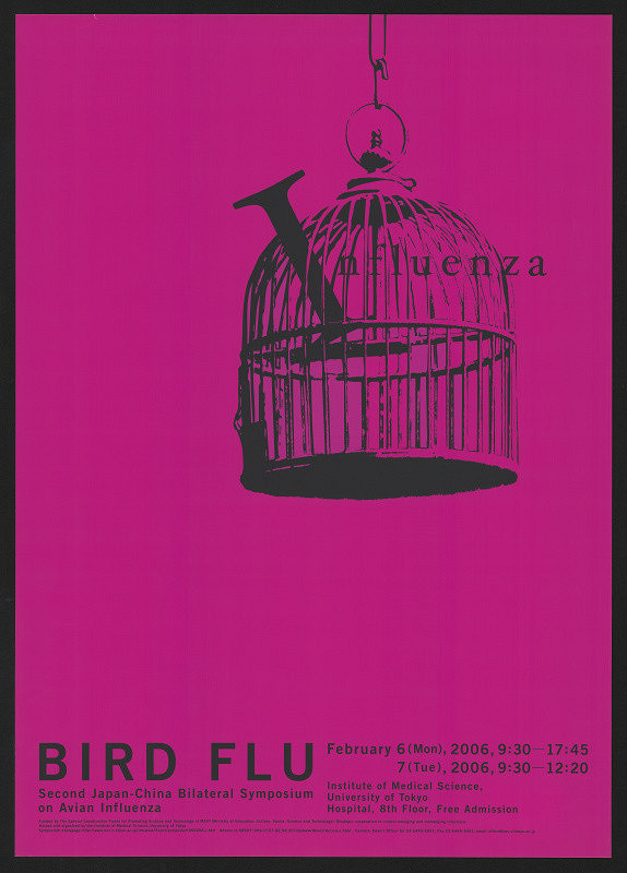 Koji Iyama – Bird Flu 