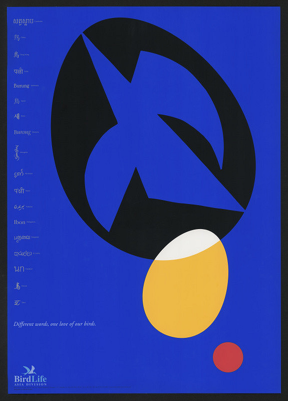 Ryohei Kojima – Different Words, One Love Of Our Birds 