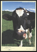 Hiroshi Maeda – Hokkaido As The DNA 