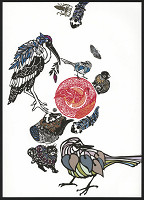 Osamu Misawa – Tamaki 