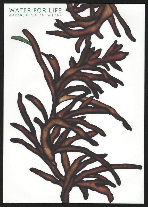 Shino Suefusa – Water For Life 