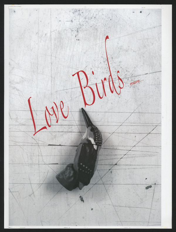 Dong-Sik Hong – Love Birds 