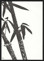 Leo Lin – Chinese Character 