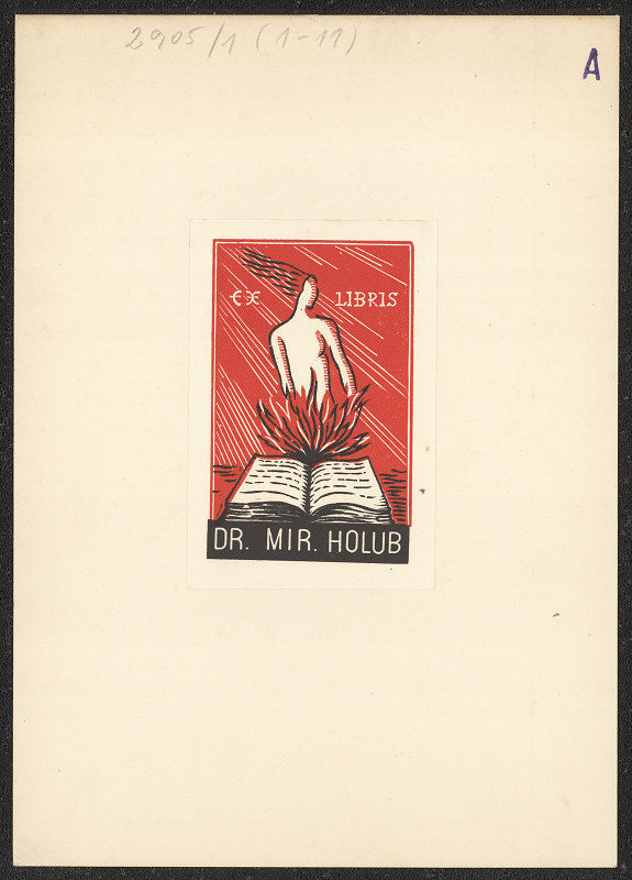 neznámý – Josef Milde 