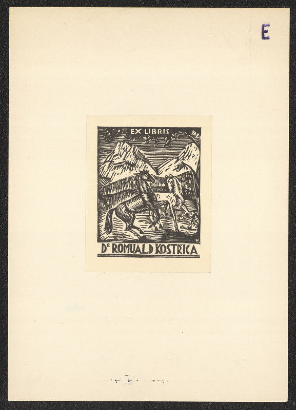 neznámý – Ex libris Dr. Romuald Kostřica 