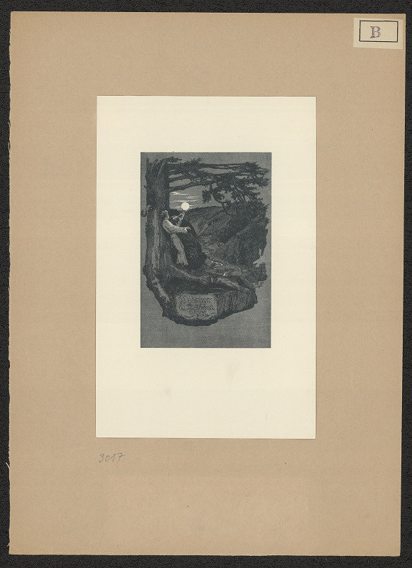 Klemens Brosch – Dr. Ant. Bötz 