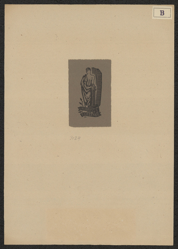 Marek Brudnicki – T. Leszner 