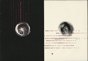 Gertrud Nolte – Waiting Is Unfair 