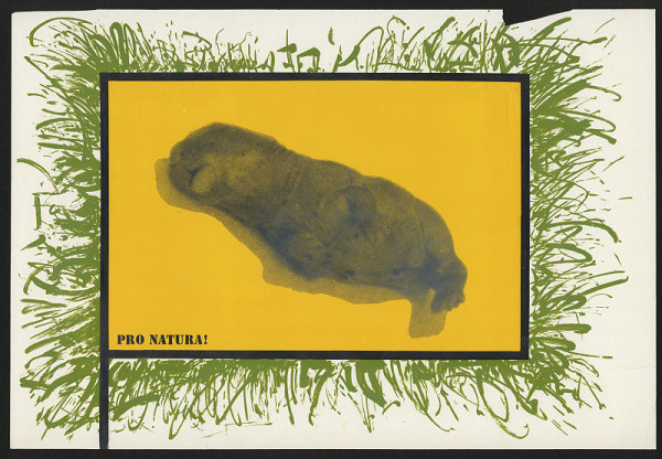 Ovidiu Petca – Pro Natura! 