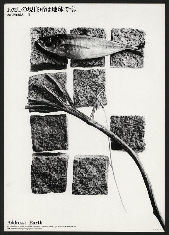 Junichi Meguro – Address: Earth 