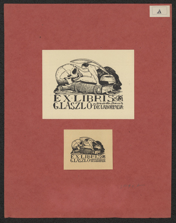 Aiglon (Attila Sassy) – G. László de Laborfalva 