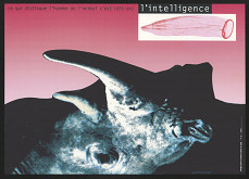 Alain Le Quernec – SIDA 