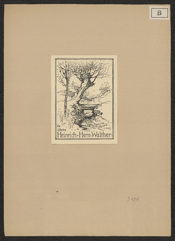 Wilhelm Bader – Heinrich-Herm. Walther 