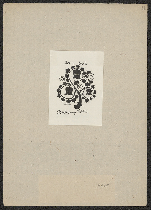 Tekla Bakonyi – Bakonyi Tekla 