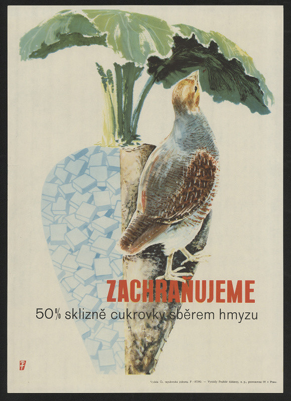 neznámý – Zachraňujeme 50 % sklizně cukrovky sběrem hmyzu 