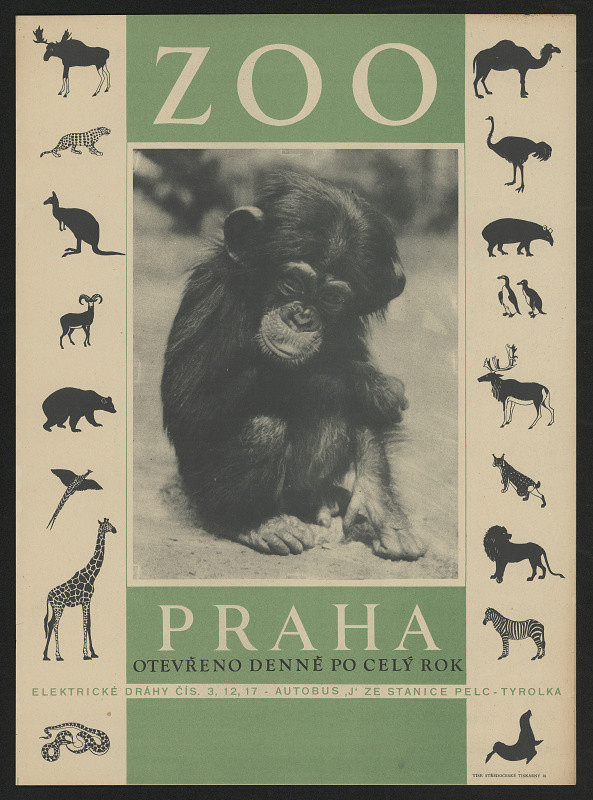 neznámý – ZOO Praha 