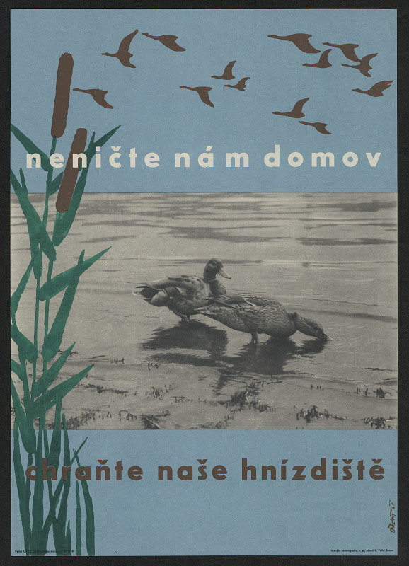 Šťastný – Neničte nám domov - chraňte naše hnízdiště 