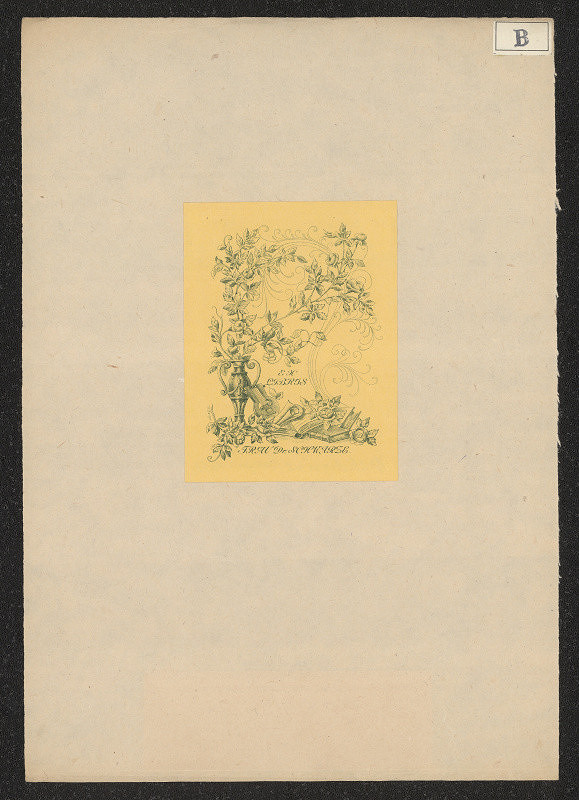 Wilhelmine Berger – Frau Dr. Schwarze 