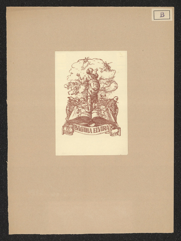 Bokros – Bagula Elvira 