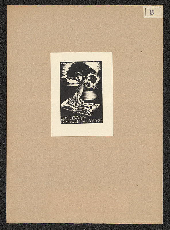 Ferenc Bordas – Exlibris Dr. Flieg Ferenc 