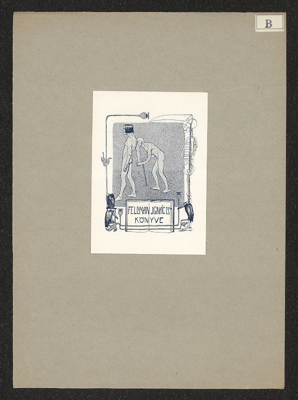 Tibor Bottlik – Feldman Ignác Dr. Könyve 