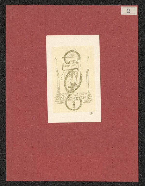 Tibor Bottlik – Dr. Wittmannernö Könyve 