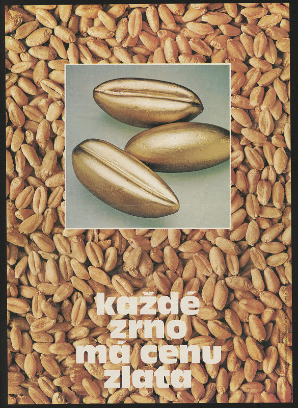 Karel Míšek – Každé zrno má cenu zlata 