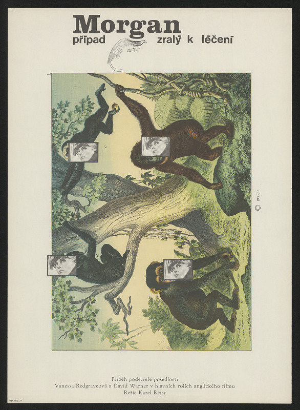 Milan Grygar – Morgan - případ zralý k léčení. Anglický film 