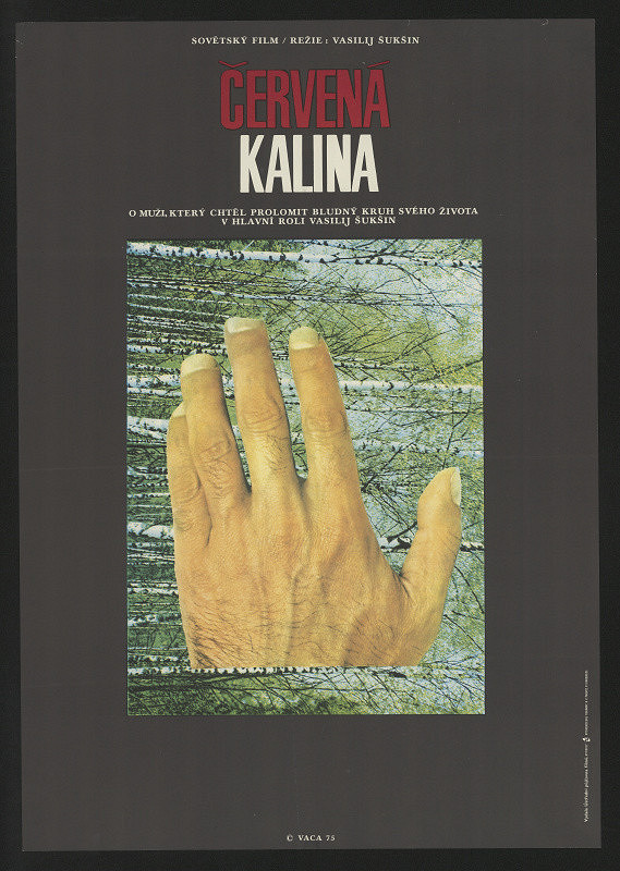 Karel Vaca – Červená kalina 