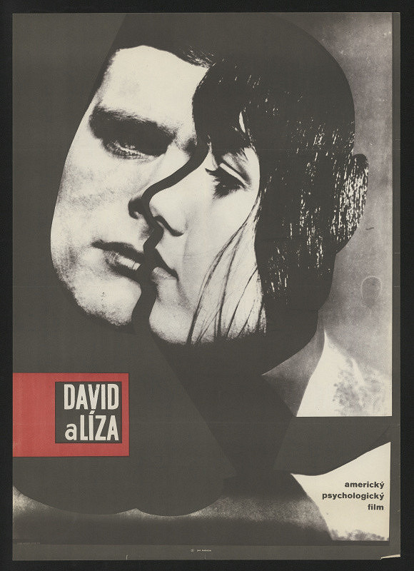 Jan Kubíček – David a Líza 