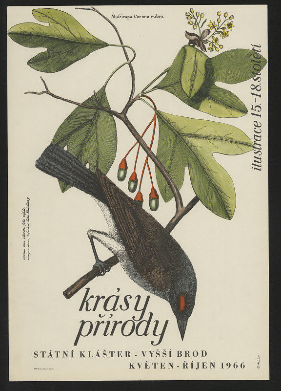 Müller – Krásy přírody - ilustrace 15.-18. století, Klášter Vyšší Brod 1966 